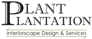 Office Plants and all indoor plants, interior design and services